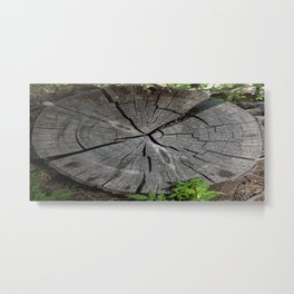 Dried out tree stump Metal Print