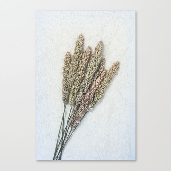 Summer Grass III Canvas Print