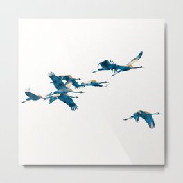 Beautiful Cranes in white background #decor #society6 #buyart Metal Print