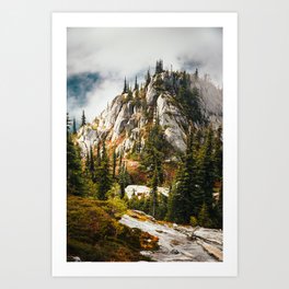 High Mountain Pines Art Print