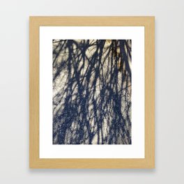 Abstracts in Nature Series -- Winter Tree Shadows Framed Art Print