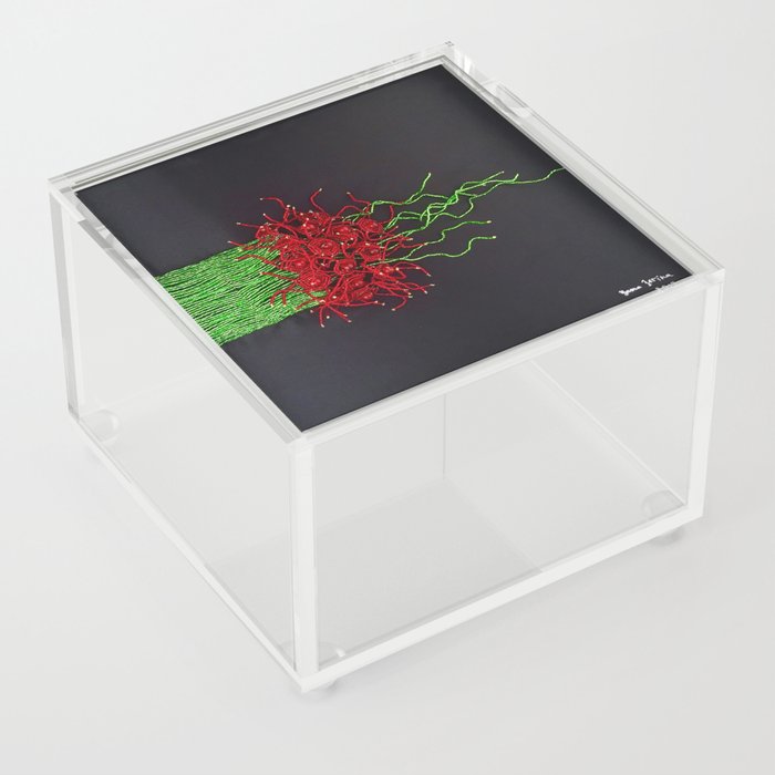 Tortured Acrylic Box