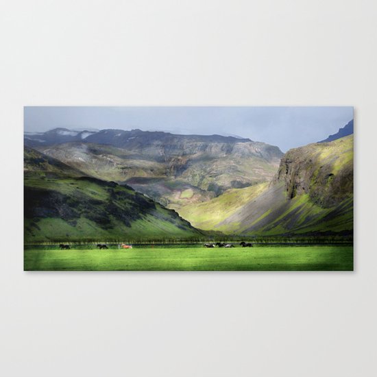 Icelandic Ponies Canvas Print