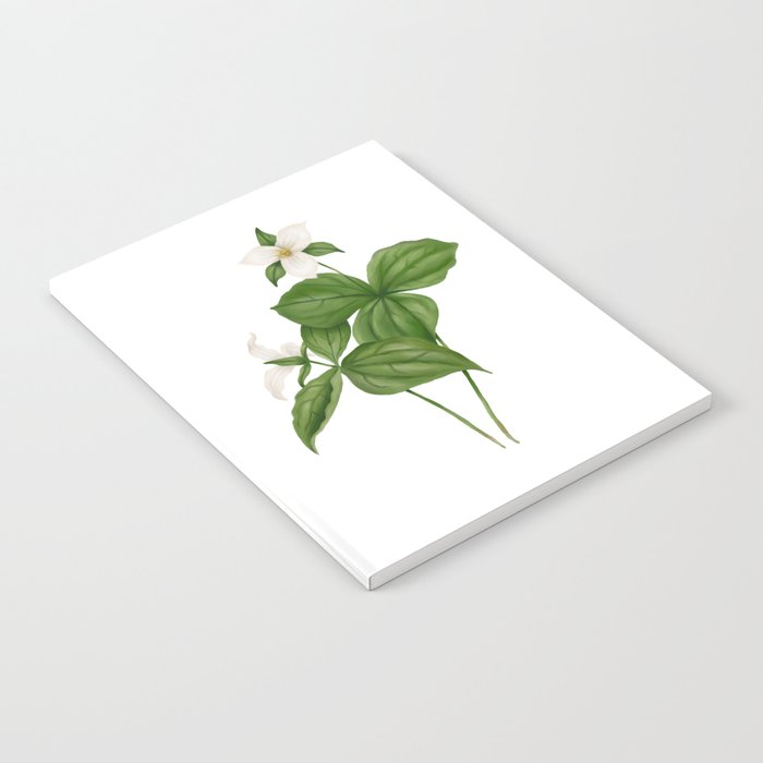 Great White Trillium Watercolour Botanical Notebook