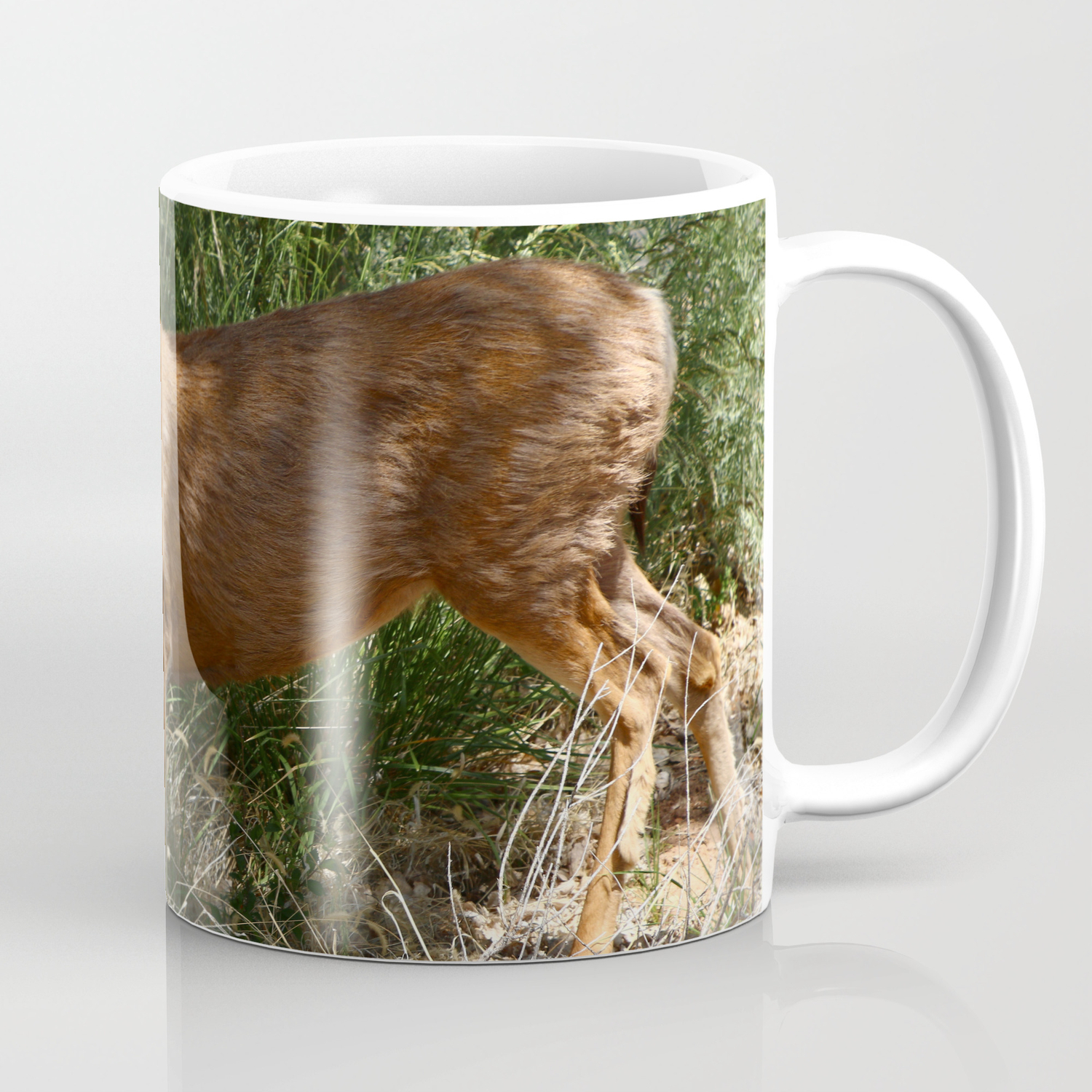 deer creek coffee zion