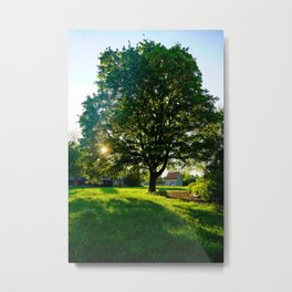 Beautiful Tree Metal Print | Dusk, Tree, Beautiful, Treeshadow, Landscape, Beautifultree, Outdoors, Summerpark, Shadow, Grass 