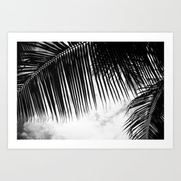 maui paradise palms hawaii monochrome Art Print