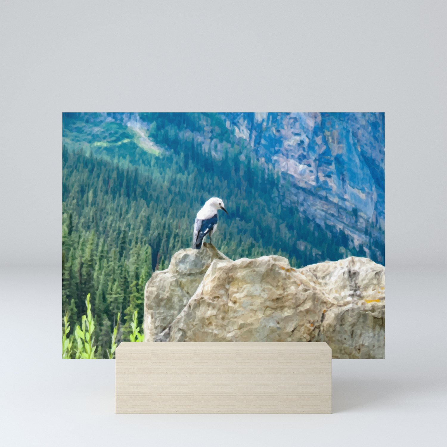 Digital Painting Of A Cute Mountain Bird Sitting On A Rock In