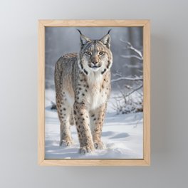 Lynx in the snow Framed Mini Art Print