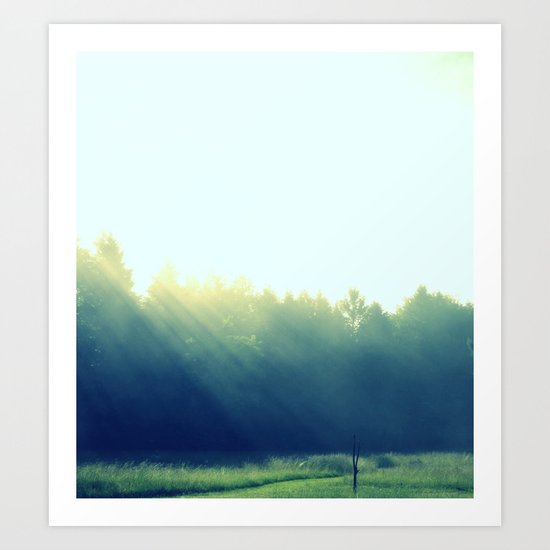 In the Misty Morning Art Print