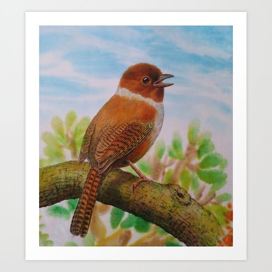 A Brown Bird Art Print