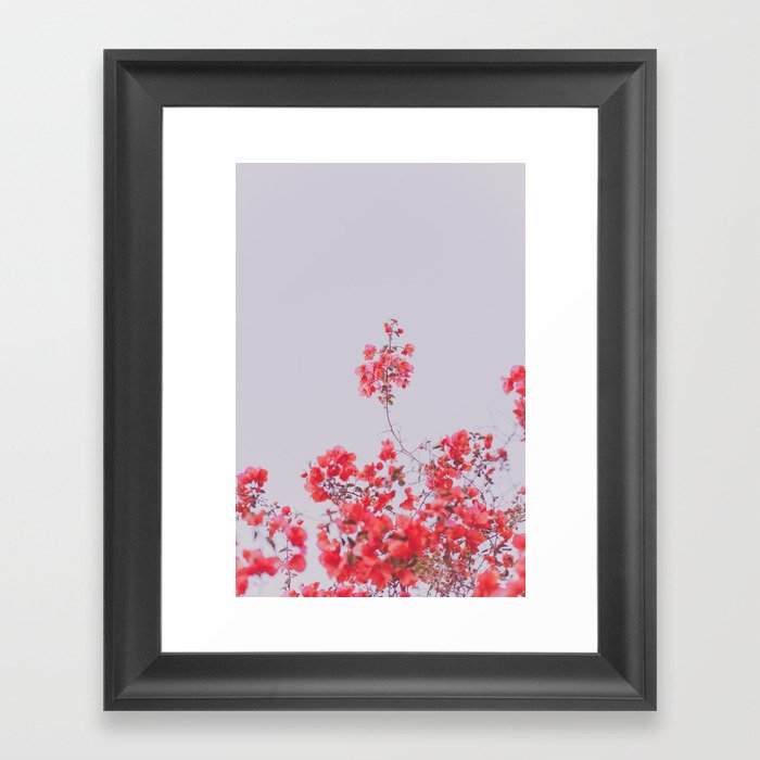 Sweet Pink Bougainvilleas Framed Art Print