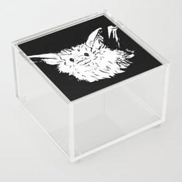 Curious Bat (Smudge) Acrylic Box
