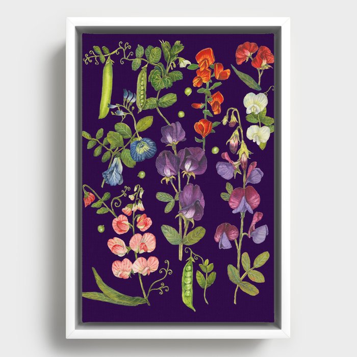 Framed Canvas