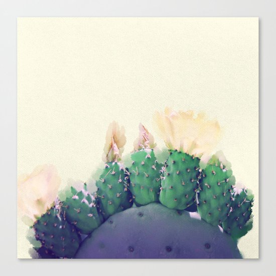 Cactus Canvas Print