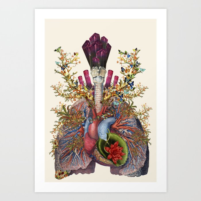 adore anatomical heart lungs collage by bedelgeuse Art Print