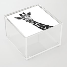 Giraffe Acrylic Box