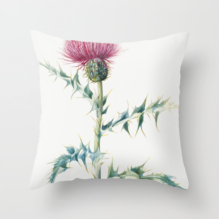 Thistle (Cirsium arizonica) Throw Pillow