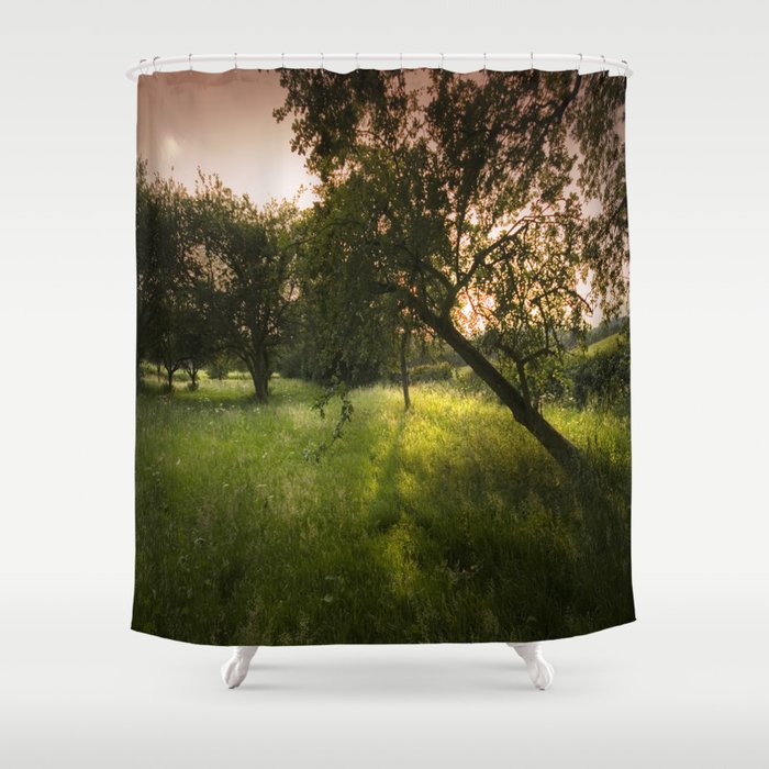 Apple  orchard in bloom Shower Curtain