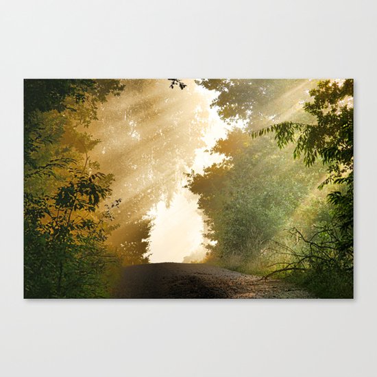 away-nature Canvas Print