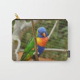 Cute Parrot  Carry-All Pouch | Parrotlove, Parrotlets, Parrotsofinsta, Parrotbay, Parrot, Color, Parrots, Parrotsofig, Parrotlet, Parrotworld 