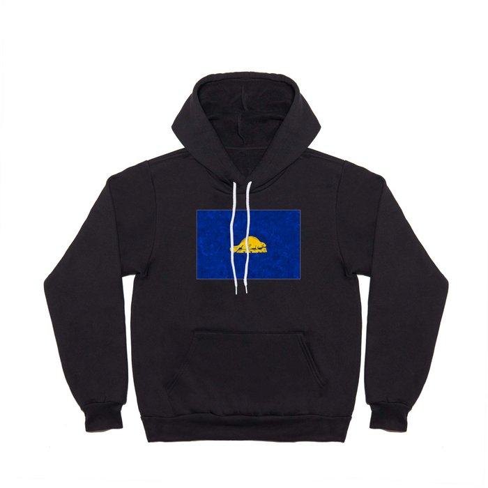 Reverse State Flag of Oregon Hoody