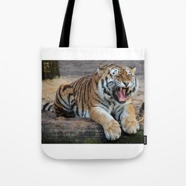 Portrait of a tiger in the nature Tote Bag