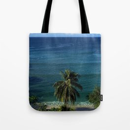 Solitary Palm Tree Pacific Coast Mexico Tote Bag