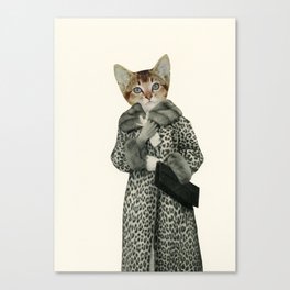 Kitten Dressed as Cat Canvas Print