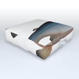 Blue-Salmon (Salmo Wartmanni) from Ichtylogie ou Histoire naturelle generale et particuliere des poi Outdoor Floor Cushion