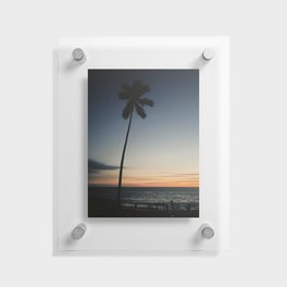 Sunset Palm Tree Floating Acrylic Print