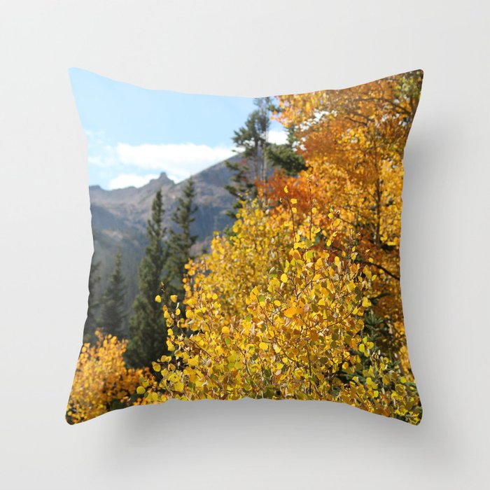 Autumn in the Rocky Mountains at Diamond Lake Trail, Eldora Colorado Throw Pillow