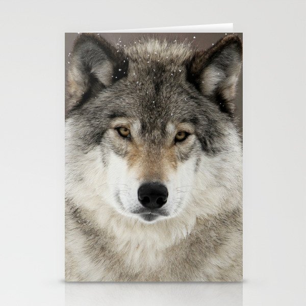 Winter Wolf Stationery Cards