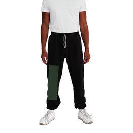Dark Gray Green Solid Color Pantone Mountain View 19-5918 TCX Shades of Black Hues Sweatpants