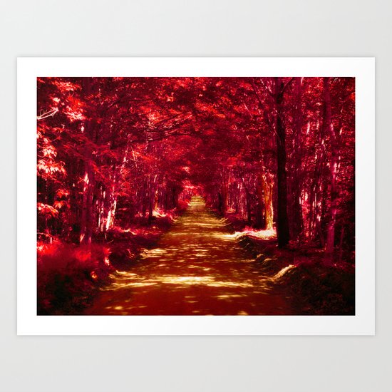 Into the Forest Art Print