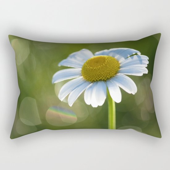 Daisy after rain at backlight Rectangular Pillow