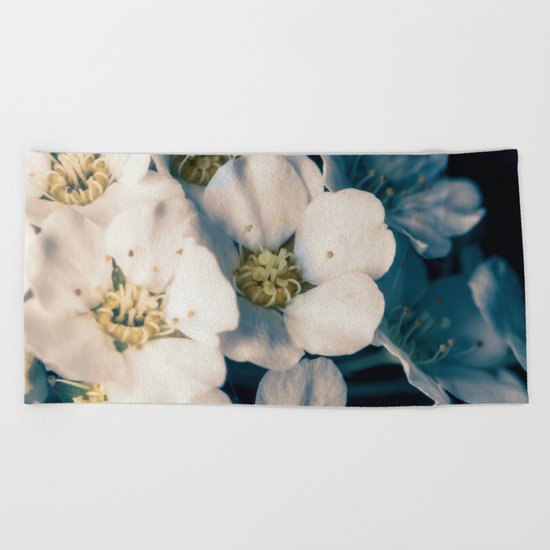 Bridal wreath flowers Beach Towel
