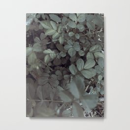 Flora // Focus Metal Print