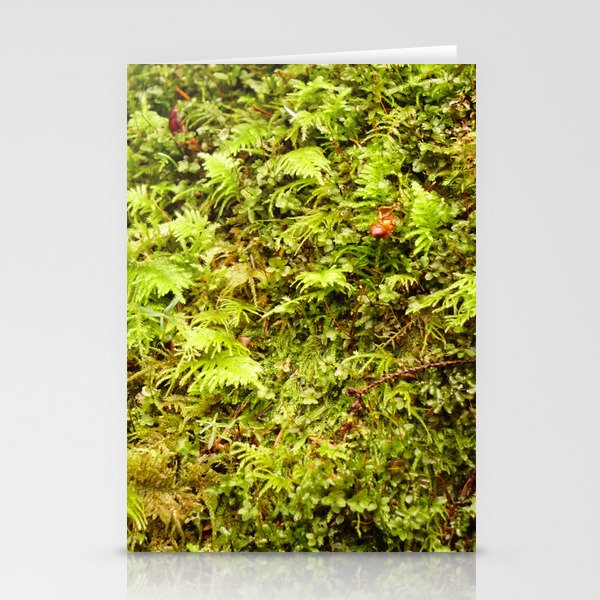 Forest Floor Stationery Cards