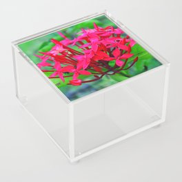 Red flowers Acrylic Box