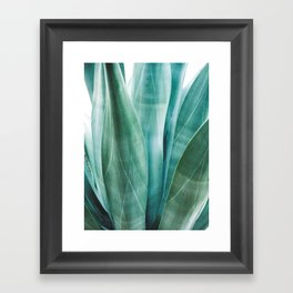 Agave Tequilana Framed Art Print