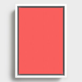 Grapefruit Solid Color Framed Canvas