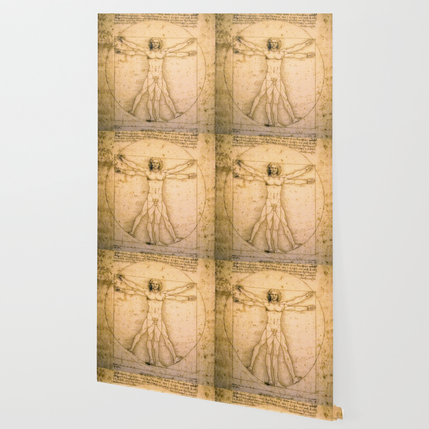 Vitruvian Man By Leonardo Da Vinci Wallpaper By Palazzoartgallery