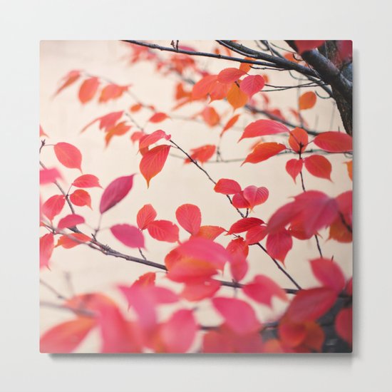 Cerise Metal Print