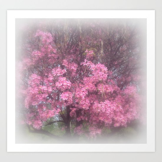 cherry's blossom - 3 Art Print