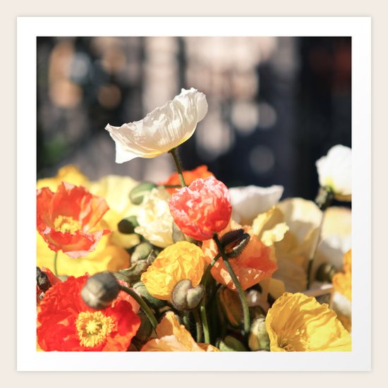 Summer Poppies Art Print