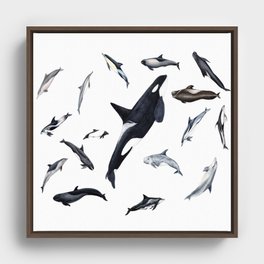 Dolphins all around Framed Canvas