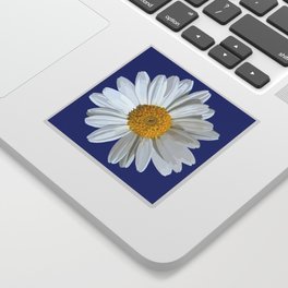 White marguerite blossom on blue  Sticker