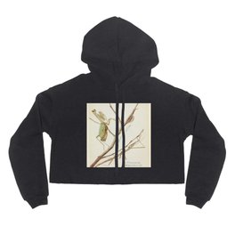 Mantid And Stick Insect Hoody