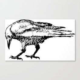 Crows vector Pen Drawing Canvas Print
